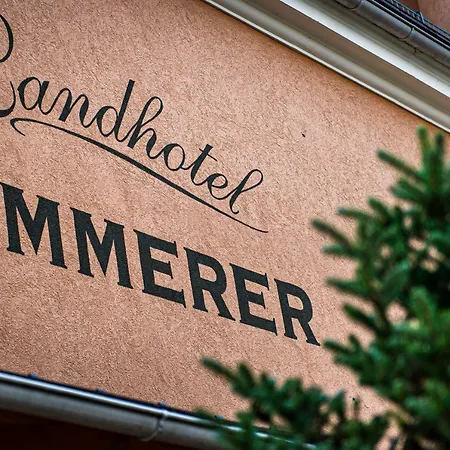 Отель Timmerer 4*