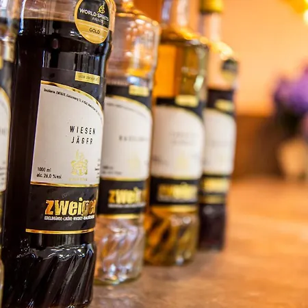 Отель Timmerer 4*