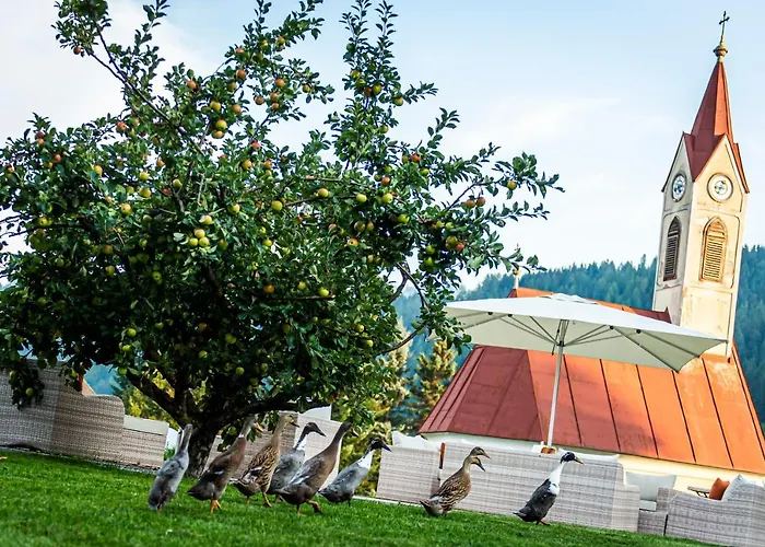 فندق Timmerer Möderbrugg